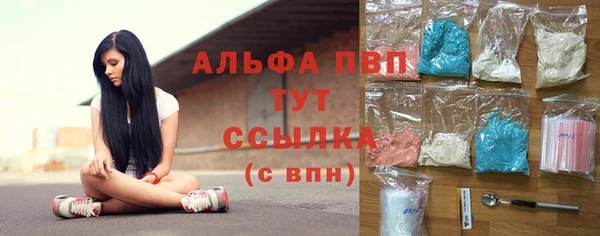 PSILOCYBIN Козловка