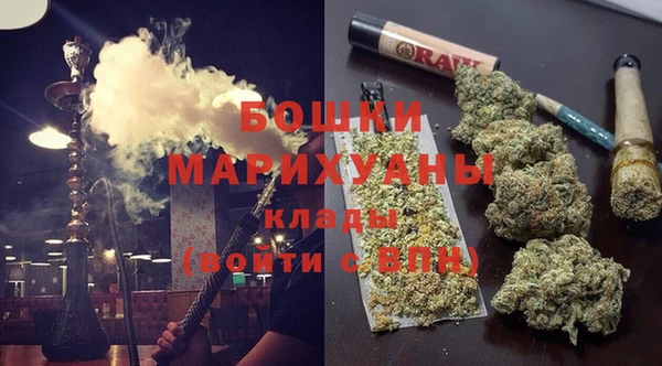 PSILOCYBIN Козловка