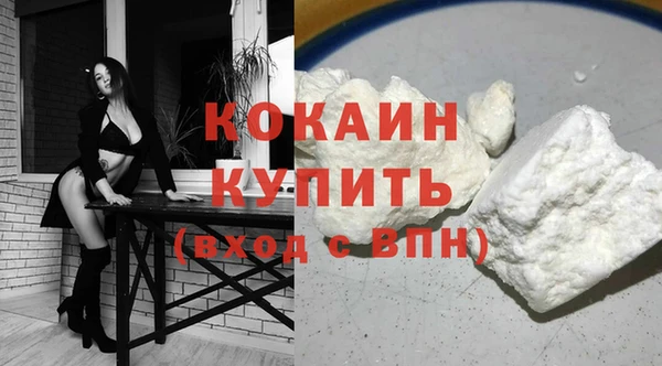 PSILOCYBIN Козловка