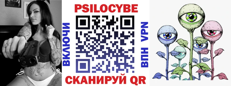 Купить  Апрелевка  Галлюциногенные грибы Psilocybine cubensis 